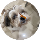 Bob profile picture